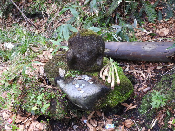 f0118332_20294236.jpg