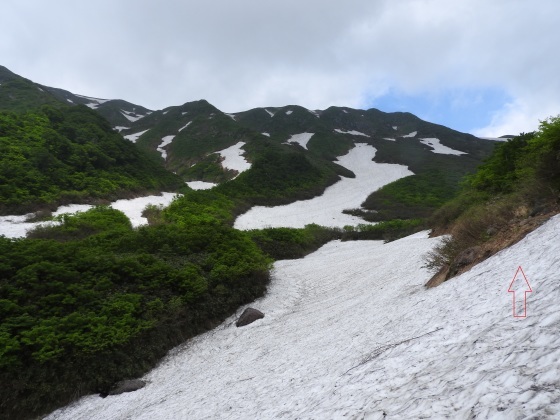 f0118332_20301698.jpg