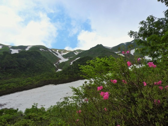 f0118332_20302885.jpg
