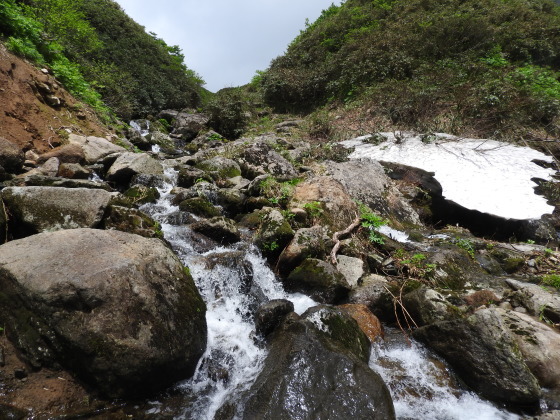 f0118332_20313475.jpg