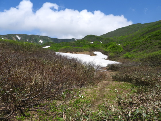 f0118332_20334242.jpg