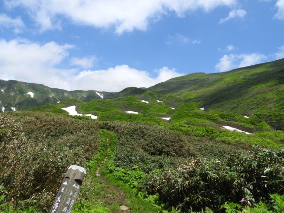 f0118332_20350698.jpg