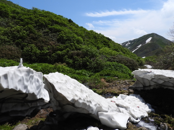 更新遅れました・・・7/2の装束場_f0118332_20393744.jpg