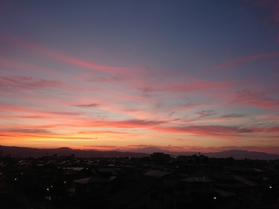 f0118332_20411334.jpg