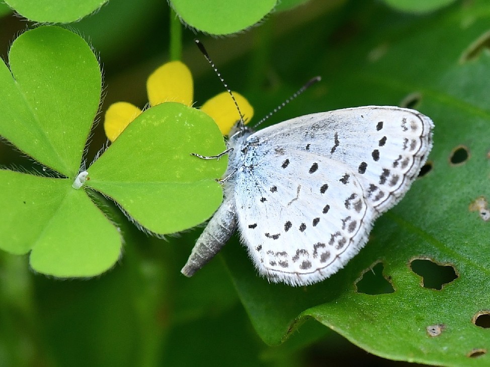 f0340732_20125312.jpg