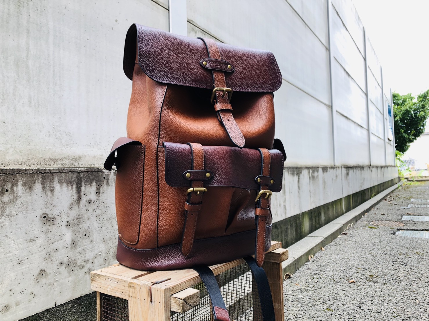 COACH/バックパック_b0139233_10455738.jpg
