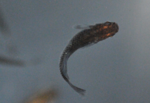 e0097534_18304235.jpg