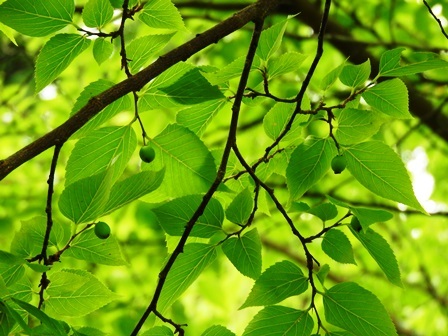 a0123836_13133031.jpg