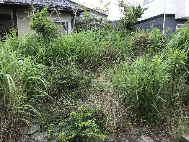 f0031037_16585243.jpg