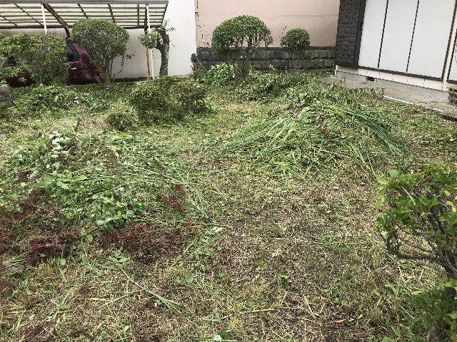 f0031037_17001765.jpg