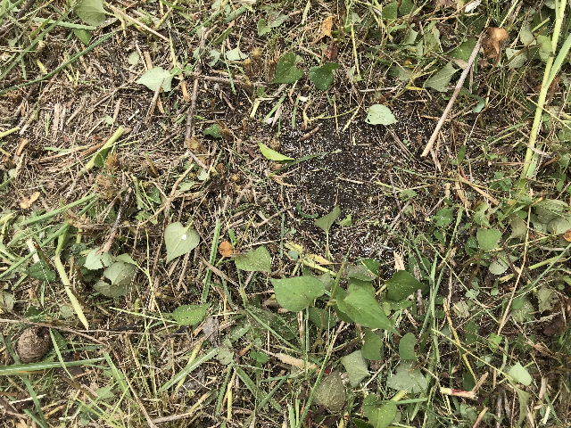 f0031037_17014131.jpg