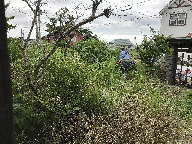 f0031037_17021465.jpg