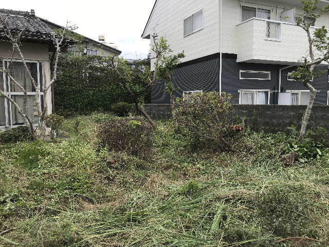 f0031037_17025406.jpg