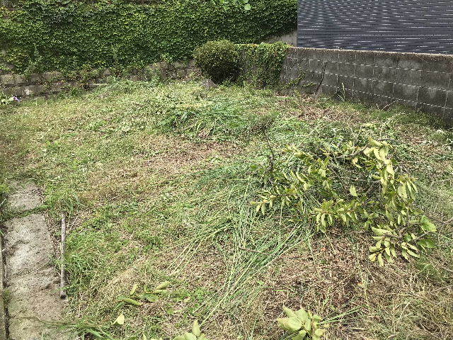 f0031037_17025833.jpg