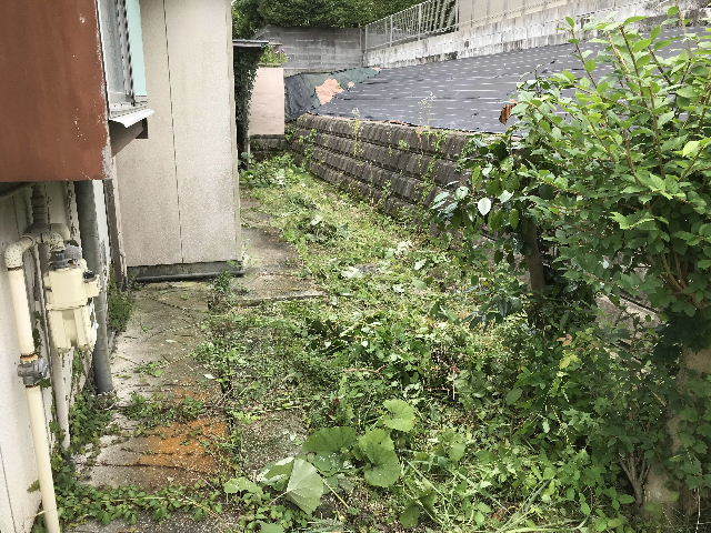 f0031037_17030259.jpg