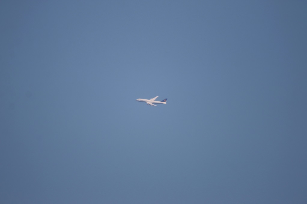 e0128144_05174677.jpg