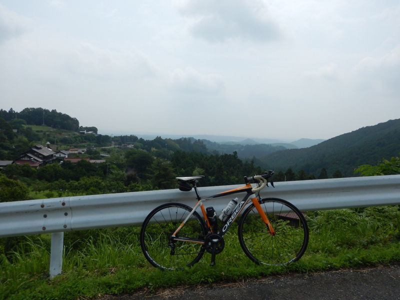 狭山市に美味しいお弁当屋さんってある？ 続き。_b0136045_08482368.jpg