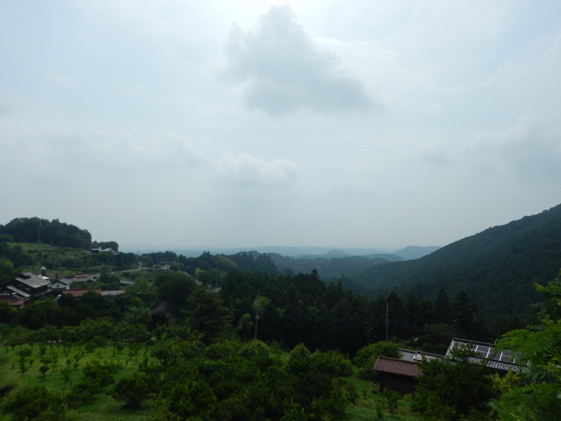 狭山市に美味しいお弁当屋さんってある？ 続き。_b0136045_08482465.jpg