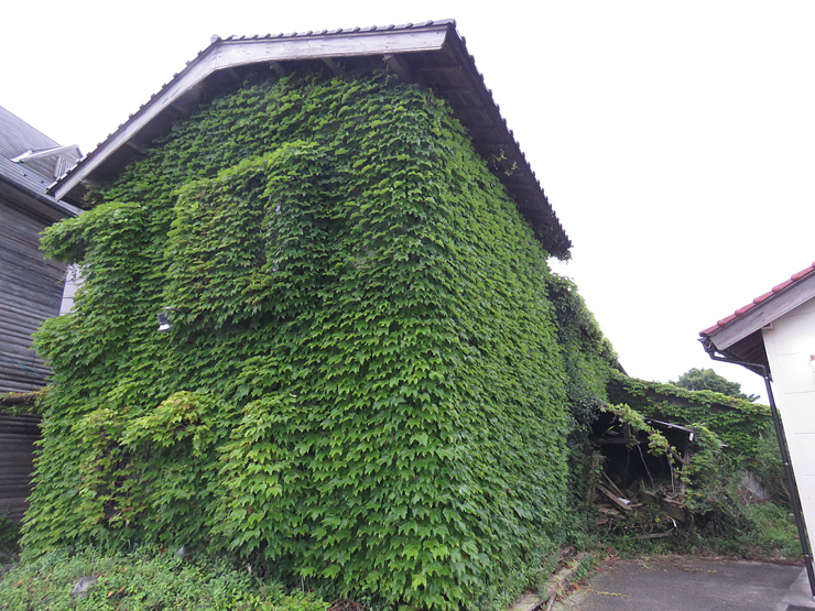 f0214649_04292744.jpg