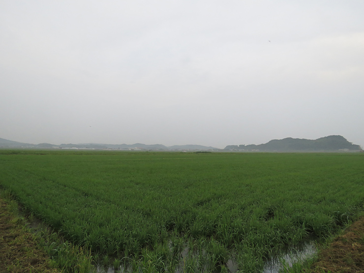f0214649_04332001.jpg