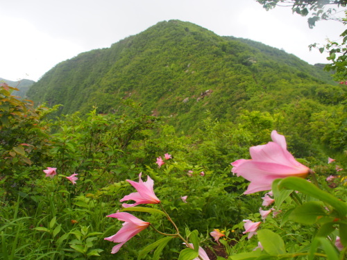 b0335256_09340794.jpg