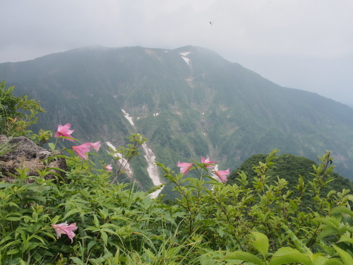 b0335256_10300539.jpg