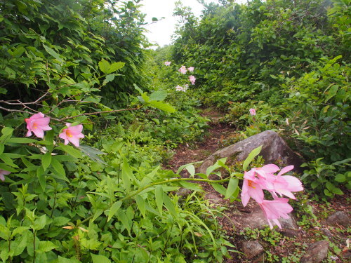 b0335256_10400446.jpg