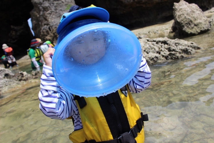 青空ようちえん〔週末〕サンゴの海あそび（6/30）夏がやってきた！たくさんの生き物といっしょにサンゴの海を楽しもう！_d0363878_21480756.jpg