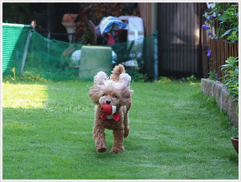 b0175688_01123885.gif