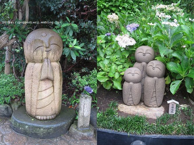 チェリーのタルト&鎌倉長谷寺_a0134594_19082347.jpg
