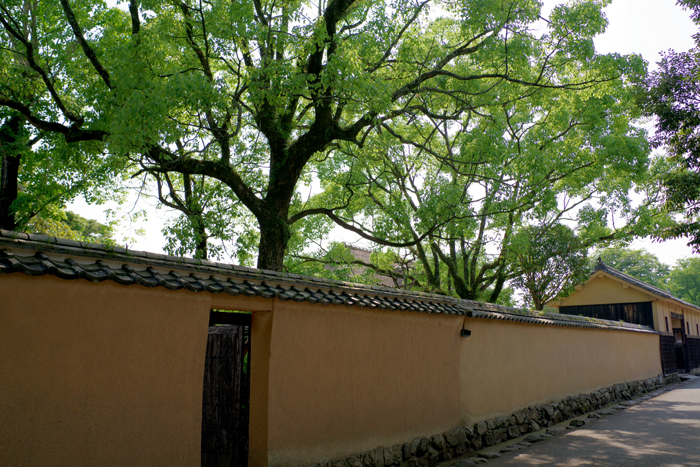 e0079696_23284124.jpg