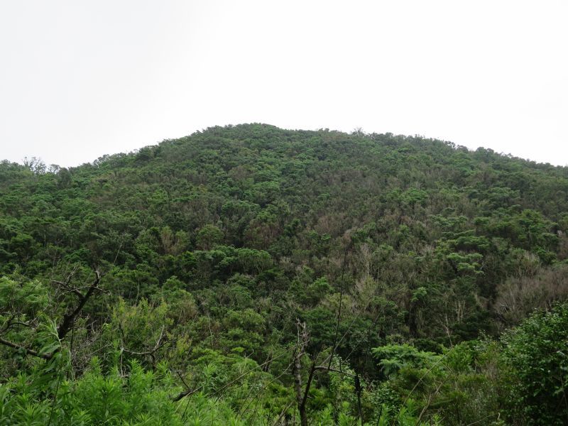 d0360104_22401318.jpg