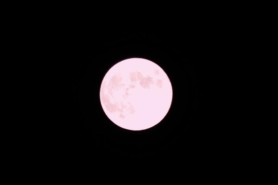 a0263109_15491456.jpg