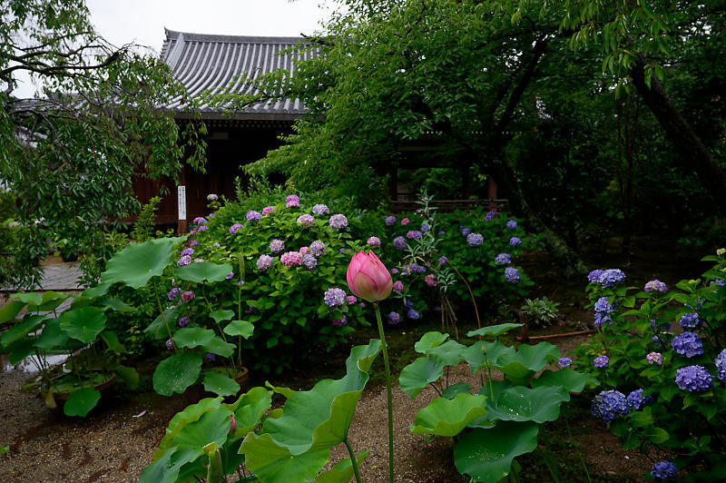 f0032011_18414977.jpg