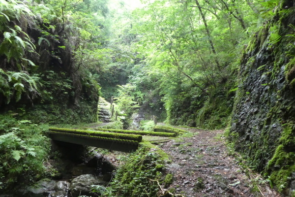 d0170615_17001908.jpg