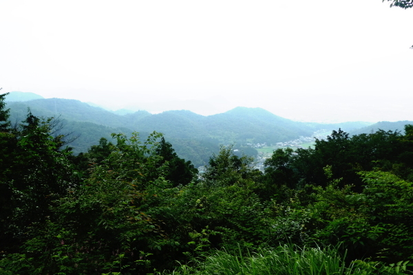 d0170615_17003319.jpg