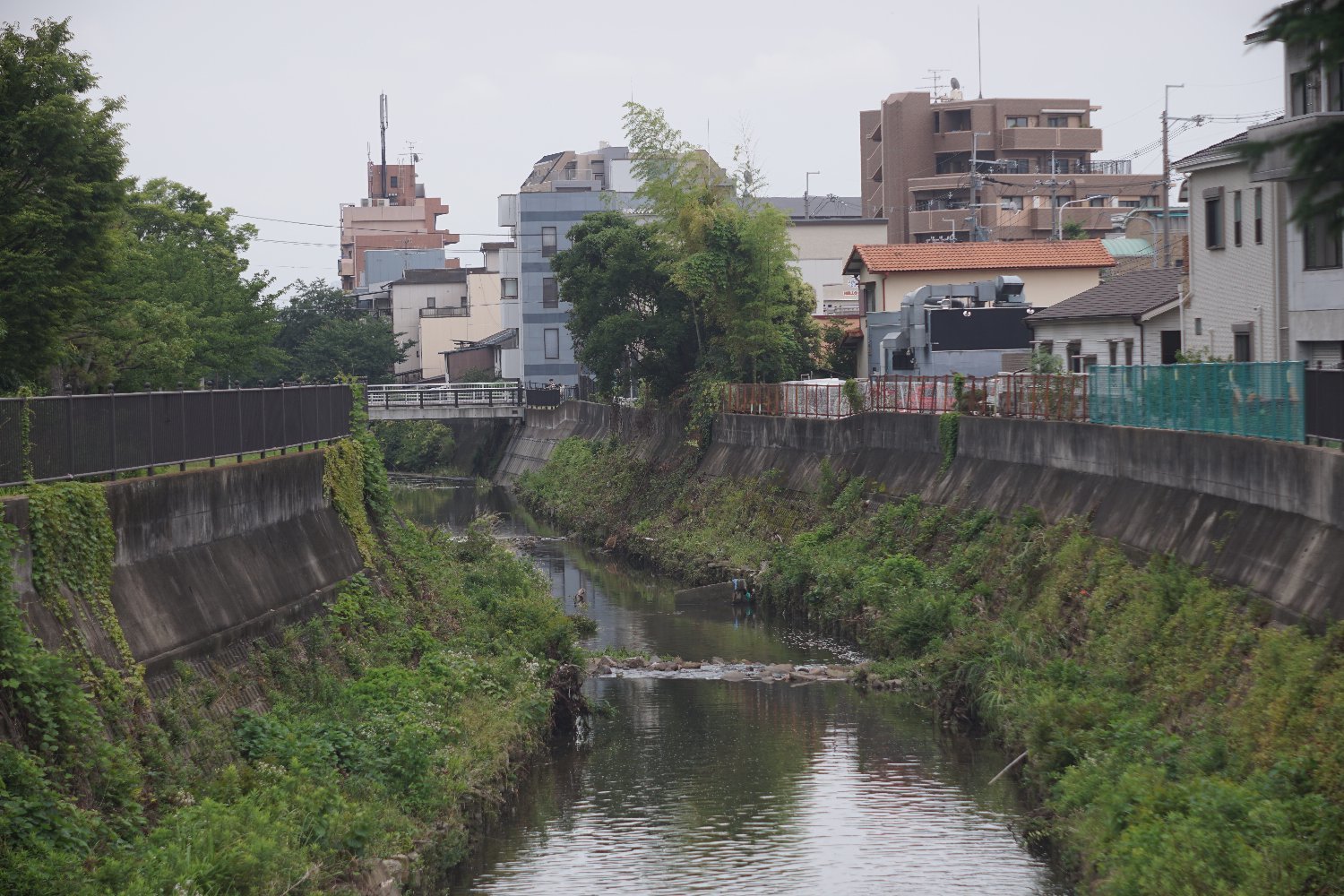 b0069128_09591095.jpg