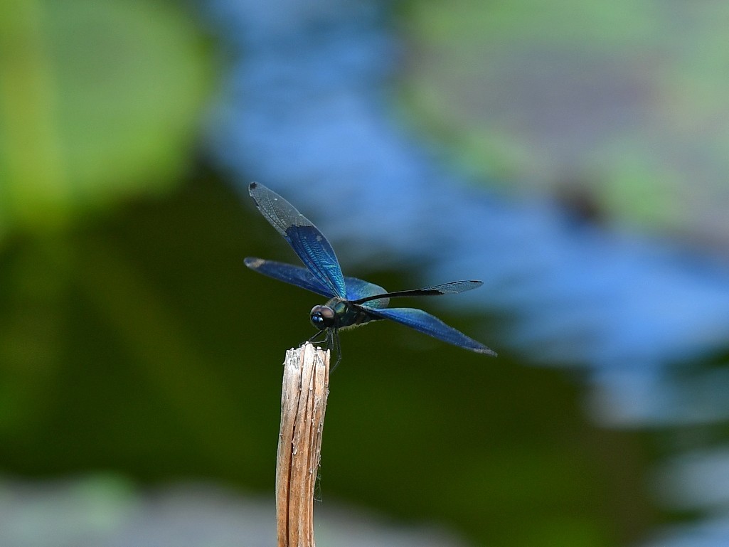 f0340732_23380527.jpg