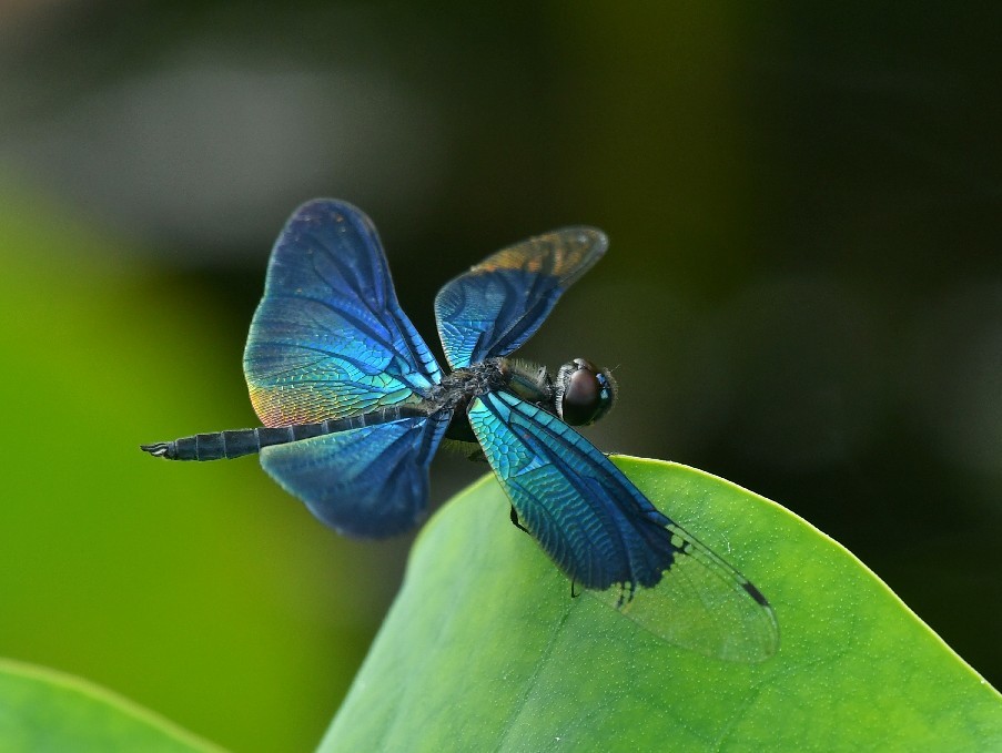 f0340732_23380629.jpg