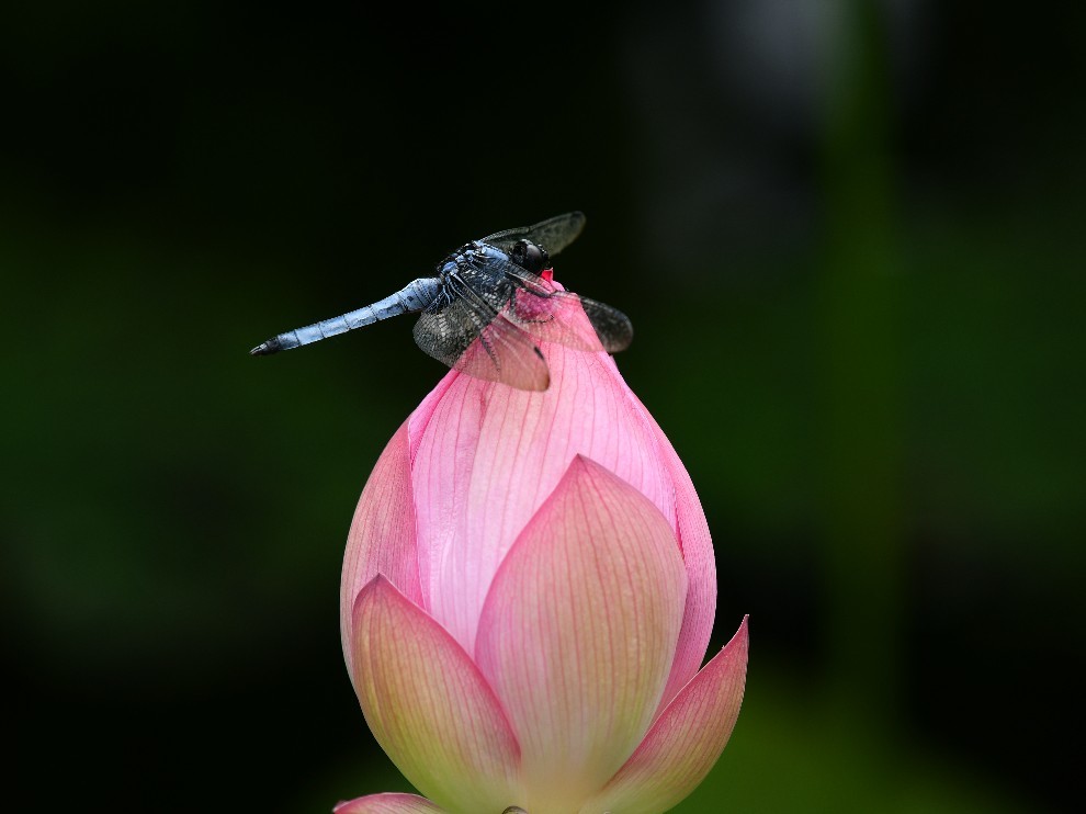 f0340732_23450940.jpg