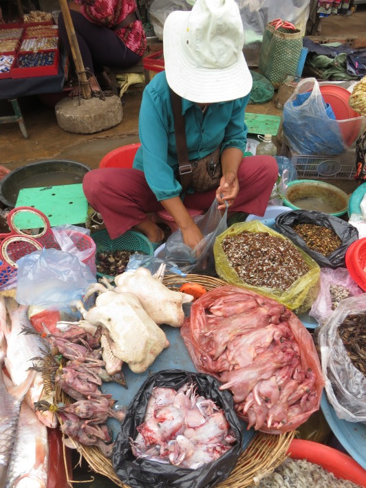 農村に滞在し、カンボジアを感じるツアー6日間 Vol.1 ☆市場で食材買い出し、プレイキション村へタウ！_e0408534_02000416.jpg