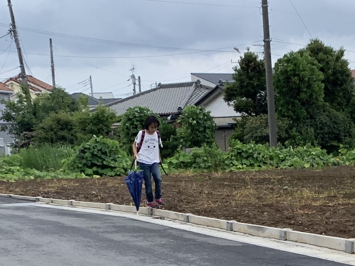 梅雨の花だより_b0330040_16394051.jpeg