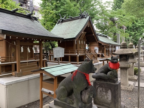 b0330040_19120791.jpeg