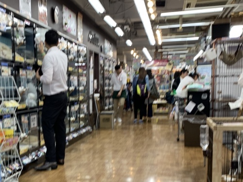 b0330040_19180276.jpeg