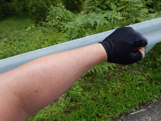 狭山市に美味しいお弁当屋さんってある？ その3（笑）_b0136045_14500133.jpg