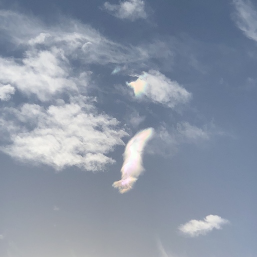星空整体☆_e0104046_02504708.jpg