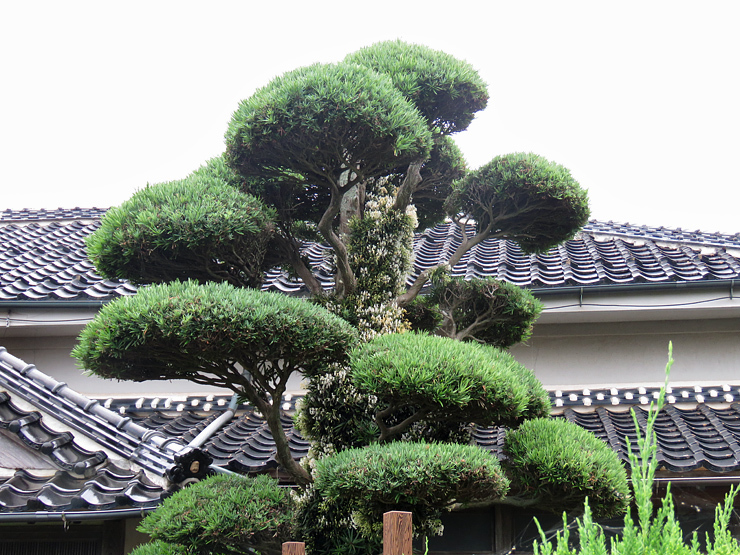 f0214649_04413347.jpg