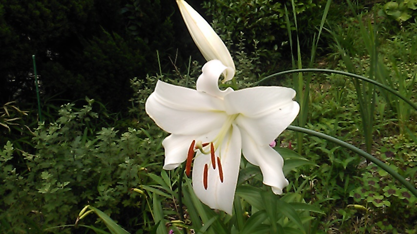 e0036151_21330472.jpg