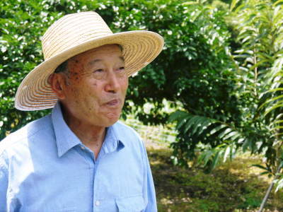 無農薬栽培の『種なしかぼす』 着果の様子を現地取材!令和元年は8月中旬からの出荷予定です!_a0254656_17422891.jpg