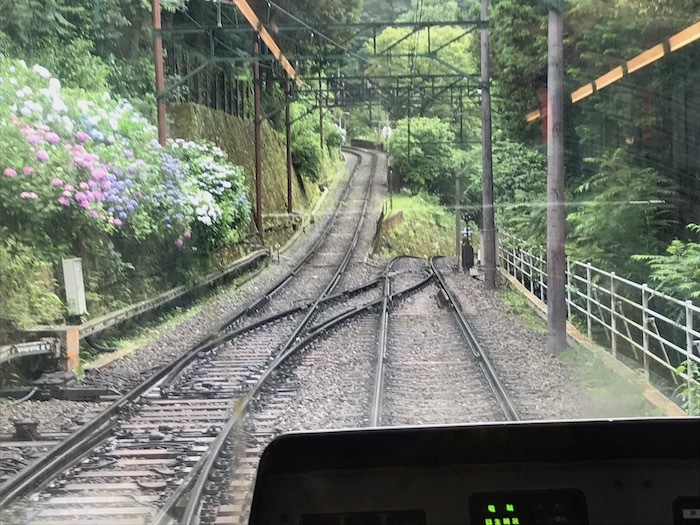 b0069156_09511344.jpeg